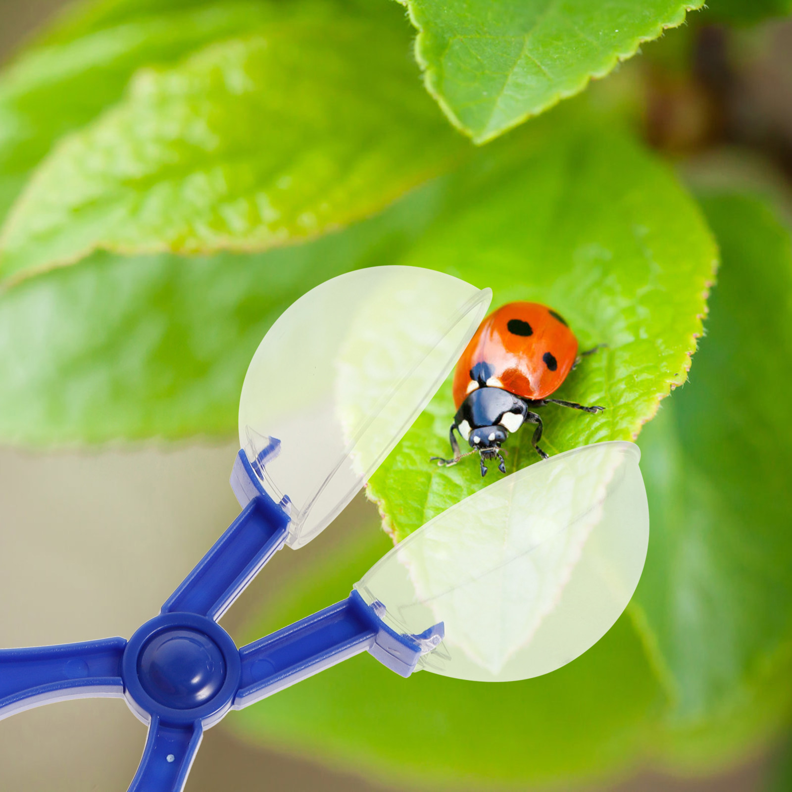 Conjunto de 8 Peças de Ferrame - Kids Nature Education avaliação e preço