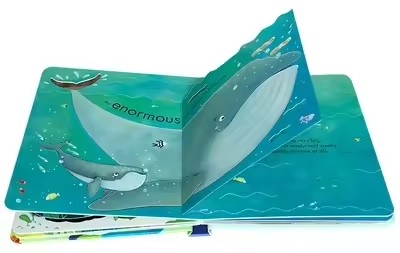 Livros educativos em inglês da - Kids Nature Education avaliação e preço