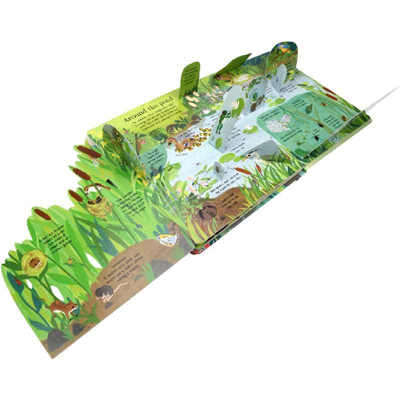 Inglês montessori 3d usborne o - Kids Nature Education avaliação e preço