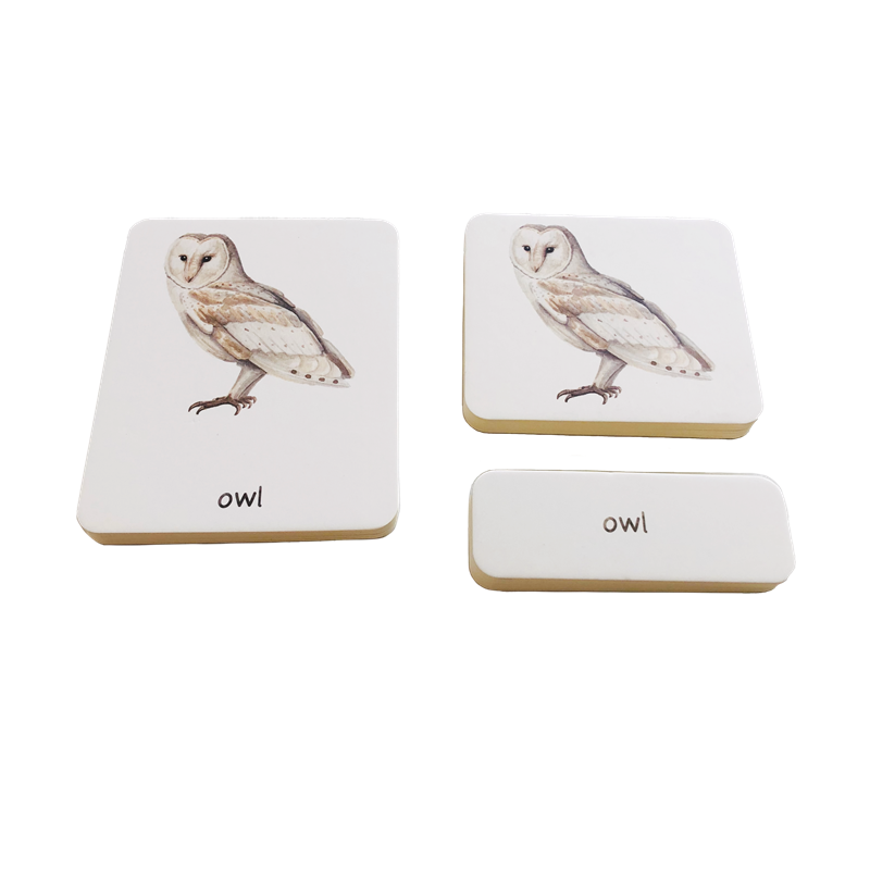 Pequena bandeja de madeira par - Montessori Shelf Toy avaliação e preço